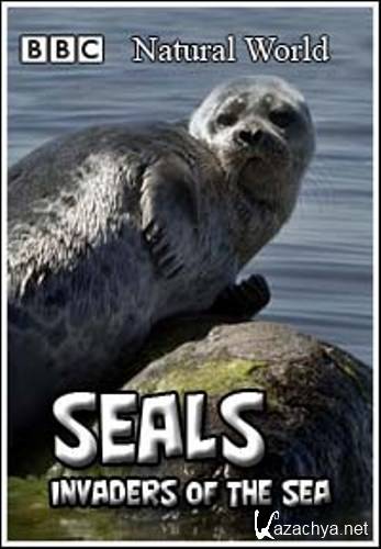  : .   / The Natural World: Seals. Invaders of the Sea (2001) SATRip