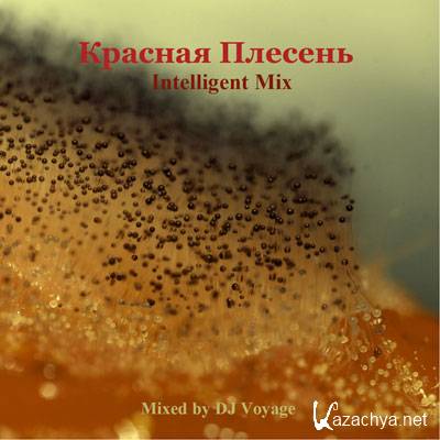   - Intelligent Mix by DJ Voyage (2011)