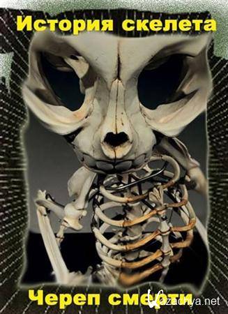  .  / Skeleton Stories. A Head for Murder (2005) SATRip