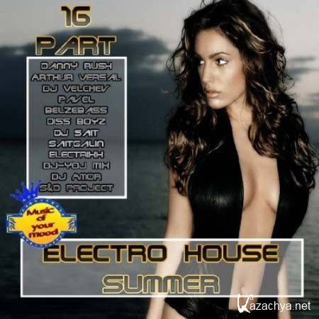Electro House Summer Part 16 (2011)