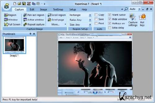 HyperSnap 7.2.11 Final Portable