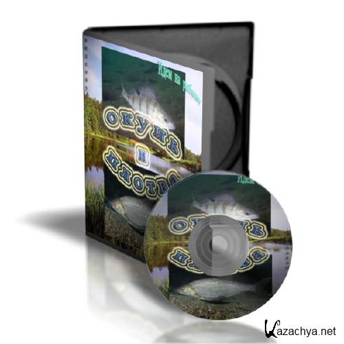 Видеокурс Идём на рыбалку: Окунь и плотва (2011) SATRip Видеокурс Идём на рыбалку: Окунь и плотва (2011) SATRip