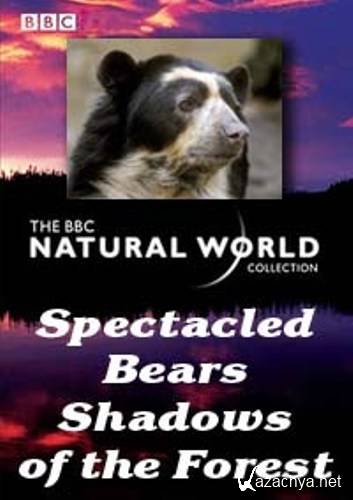  .    / Spectacled Bears. Shadows of the Forest (2007) SATRip