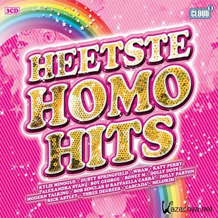 VA - Heetste Homo Hits (2011)