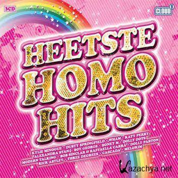 Various Artists - Heetste Homo Hits (2011).MP3