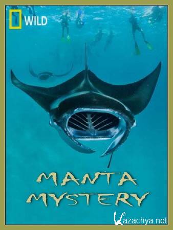    / Manta Mystery (2011) SATRip