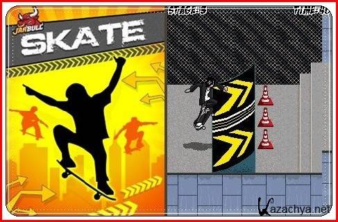 Skateboard / 