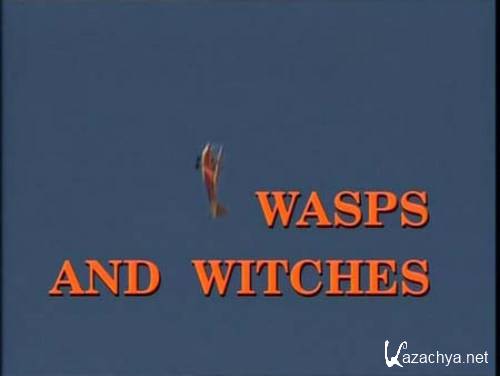 -    / Wassps and witches (2007) IPTVRip