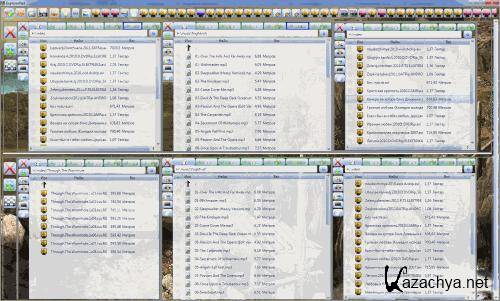 ExplorerNet 1.1 [2011, MULTILANG +RUS]