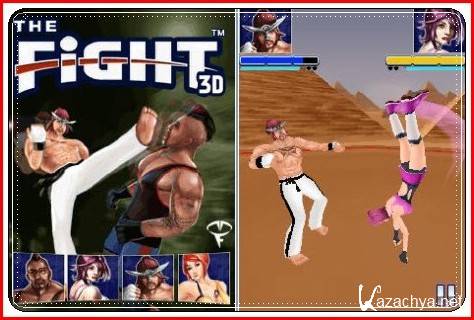 The Fight 3D /  3D