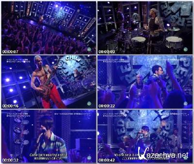 RED HOT CHILI PEPPERS - The Adventures of Rain Dance Maggie (Live @ Japan TV, Music Station - 12.08)