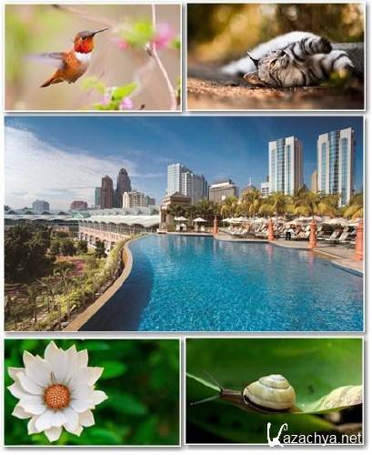 Best HD Wallpapers Pack �335