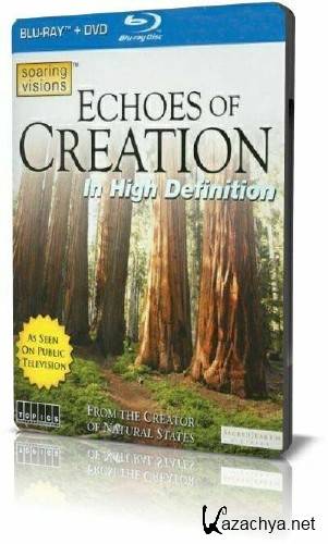   / Echoes of Creation (2010) BDRip