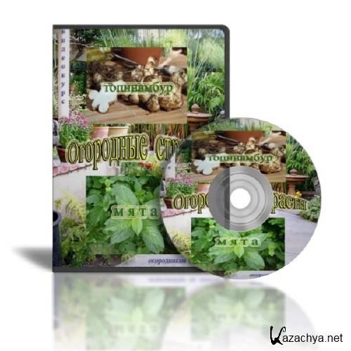  ���������� � ���� (2011)  SATRip