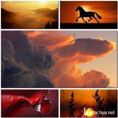 Nature Wallpapers Pack #60