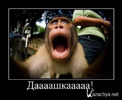 �������� ������������� � 388