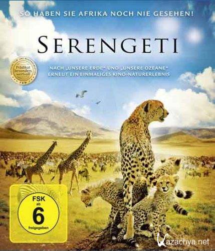    / Serengeti (2011) HDRip