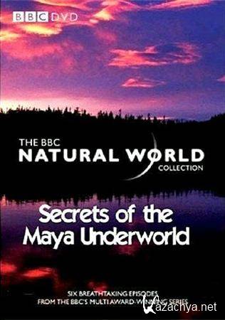 BBC:  .    / BBC: Secrets of the Maya Underworld (2005) SATRip
