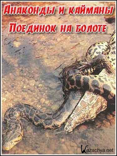   .    / Anacondas and Caimans. Duel In The Swamp (2004) TVRip