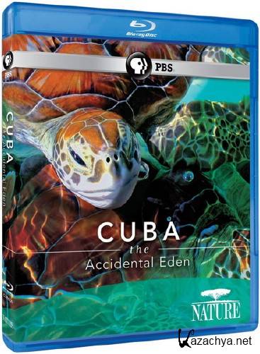 .   / Cuba - The Accidental Eden (2010) BDRip 1080i