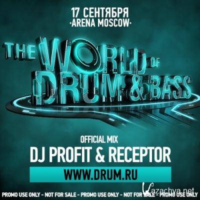 The World Of Drum & Bass: The Game (Mixed by Profit & Receptor)
