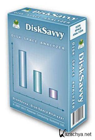 DiskSavvy 3.2.16 Portable