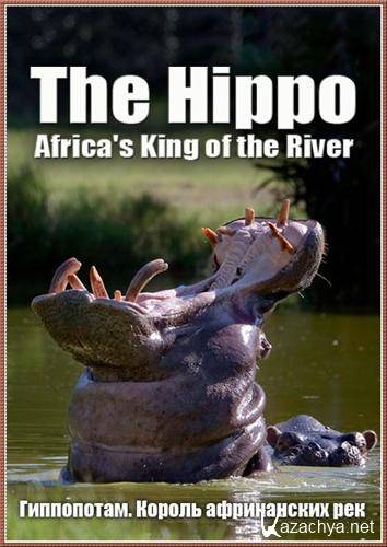 .    / The Hippo: Africa's King of the River (2004) SATRip