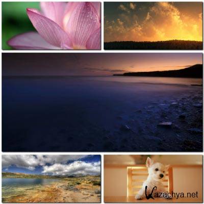 Nature Wallpapers Pack #45