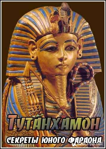 .    / Tutankhamun. Secrets of the Boy King (2006) TVRip