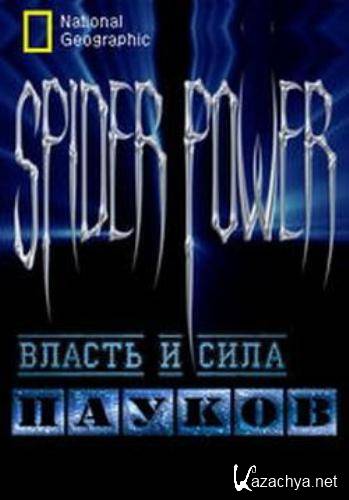     / Spider Power (2009) SATRip