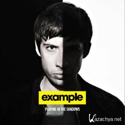 Example - Playing in the Shadows (2011)