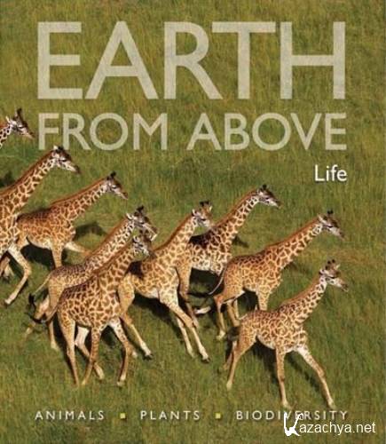 ,  :  / Earth From Above: Life (2004) HDRip
