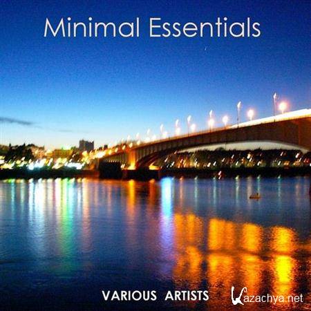 VA - Minimal Essentials (2011)