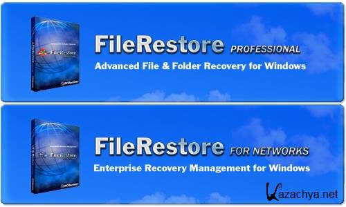 PCRecovery FileRestore Professional / for Networks v4.2.1