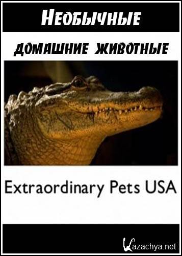    / Extraordinary Pets USA (2005) IPTV
