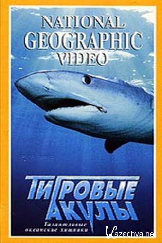   / Tiger Shark (2000) DVDRip