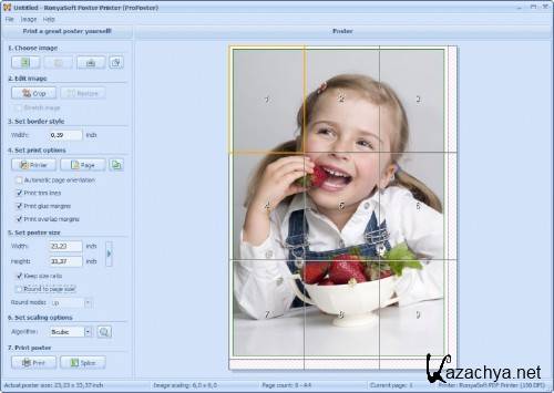 RonyaSoft Poster Printer 3.01.19 Portable