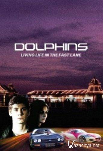  / Dolphins (2007 / DVDRip)