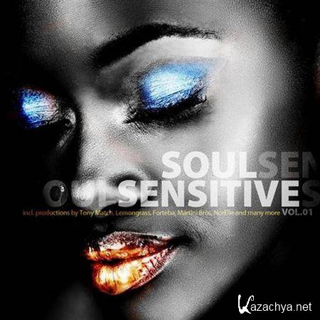 VA - Soul Sensitive Vol.1 (2011)