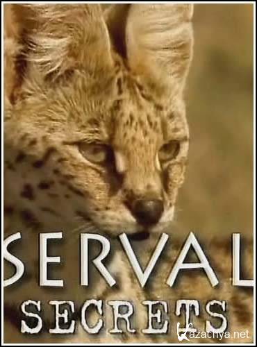   :   / SERVAL secrets (2004) SATRip