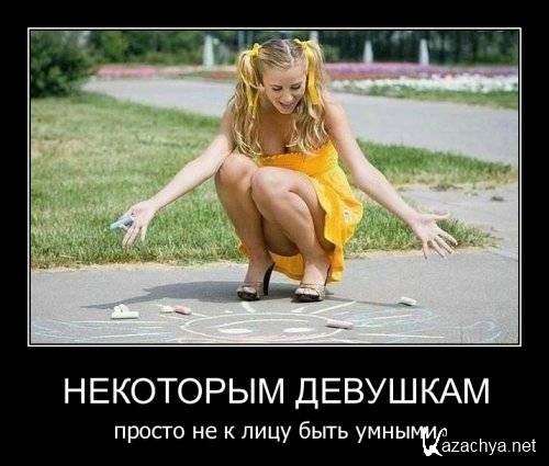  �������� ������������� � ��������� �113