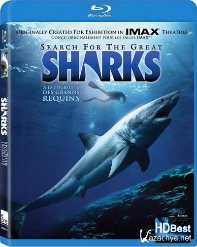     / IMAX - Search for the Great Sharks (1995) BDRip 720p