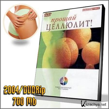 ,  (2004/DVDRip/700 Mb)
