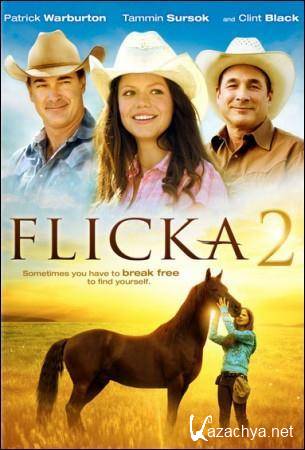  2 / Flicka 2 (2010) DVDRip (AVC)