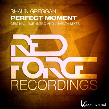 Shaun Greggan - Perfect Moment (2011)