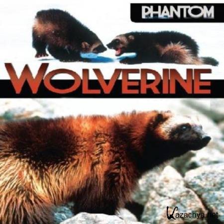   / Phantom wolverine (2010) SATRip