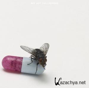 Red Hot Chili Peppers  I'm With You (2011) FLAC