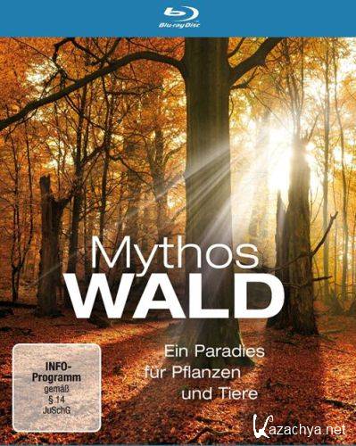   / Mythos Wald (2009) BDRip (720p)