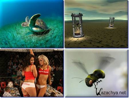 Amazing Wallpapers - ������� ����� ��� �������� ����� - Pack 432