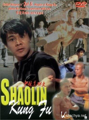    / Shaolin Kung Fu (Shao Lin zhen gong fu) (1994) VHSRip